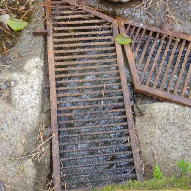 WhatsApp Image 2024-02-07 at 3.54.29 PM