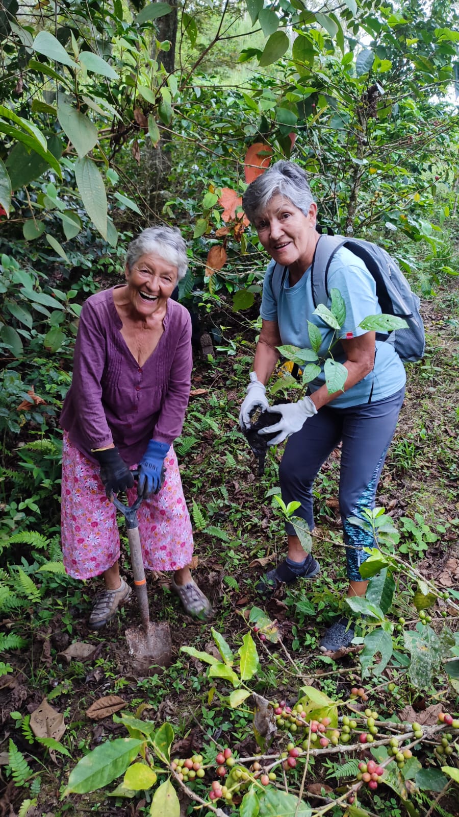 WhatsApp Image 2024-05-24 at 12.26.01 PM (2)